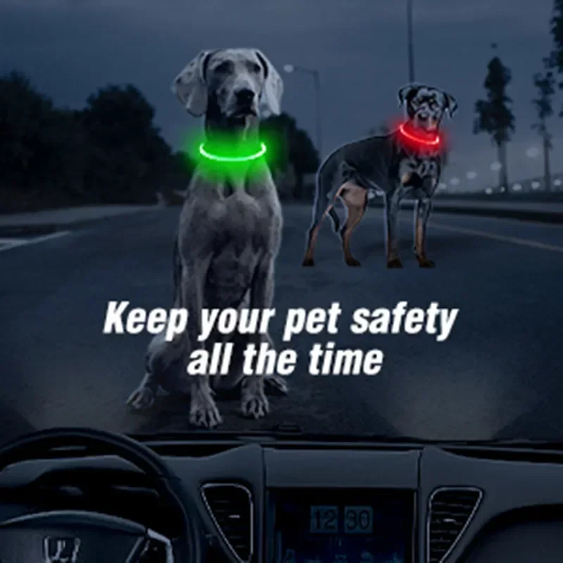 Led Işık köpek tasması Ayrılab - Men'S Grooming Products incelemesi ve fiyatı