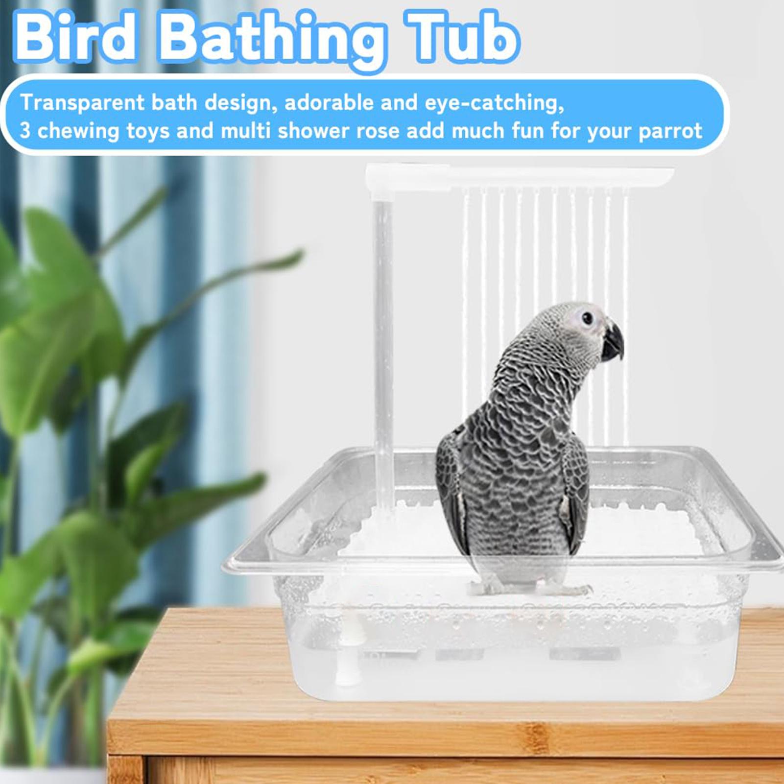 Küçük Orta Boy Conures, Muhabb - Men'S Grooming Products incelemesi ve fiyatı